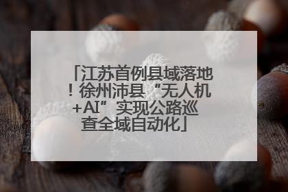江苏首例县域落地！徐州沛县“无人机+AI”实现公路巡查全域自动化