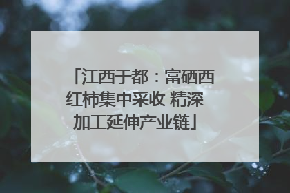 江西于都：富硒西红柿集中采收 精深加工延伸产业链