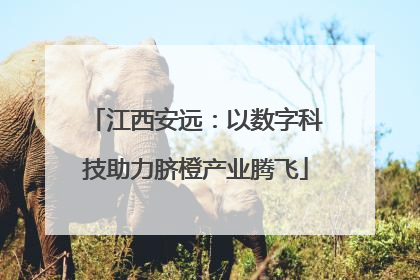 江西安远：以数字科技助力脐橙产业腾飞