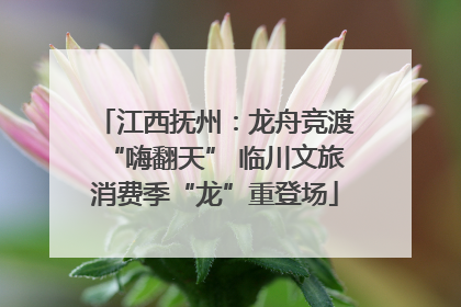 江西抚州：龙舟竞渡“嗨翻天” 临川文旅消费季“龙”重登场