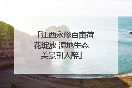 江西永修百亩荷花绽放 湿地生态美景引人醉