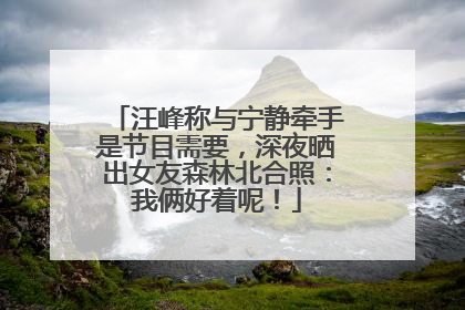 汪峰称与宁静牵手是节目需要，深夜晒出女友森林北合照：我俩好着呢！