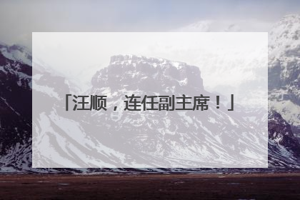 汪顺，连任副主席！