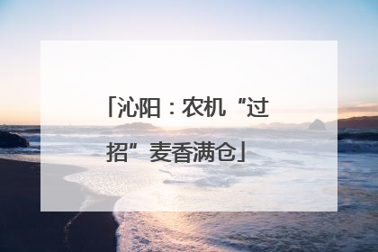 沁阳：农机“过招”麦香满仓