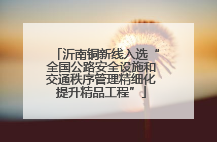沂南铜新线入选“全国公路安全设施和交通秩序管理精细化提升精品工程”