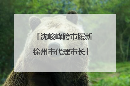 沈峻峰跨市履新徐州市代理市长