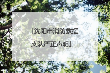 沈阳市消防救援支队严正声明