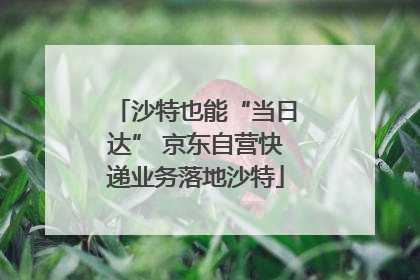 沙特也能“当日达” 京东自营快递业务落地沙特
