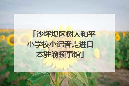 沙坪坝区树人和平小学校小记者走进日本驻渝领事馆