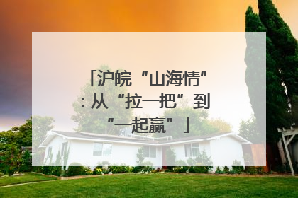 沪皖“山海情”：从“拉一把”到“一起赢”