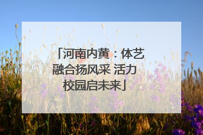 河南内黄：体艺融合扬风采 活力校园启未来