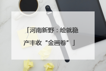 河南新野：绘就稳产丰收“金画卷”