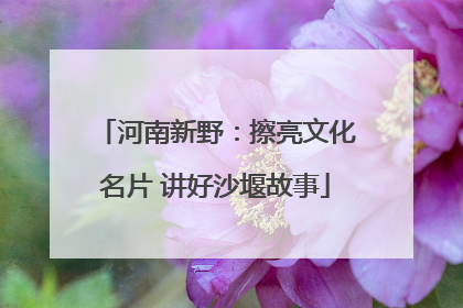 河南新野：擦亮文化名片 讲好沙堰故事