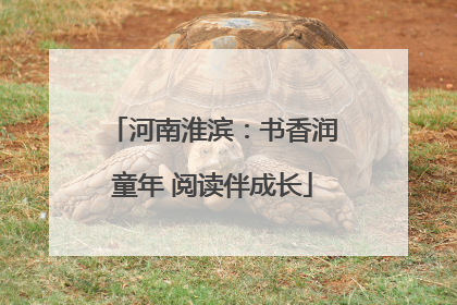河南淮滨：书香润童年 阅读伴成长