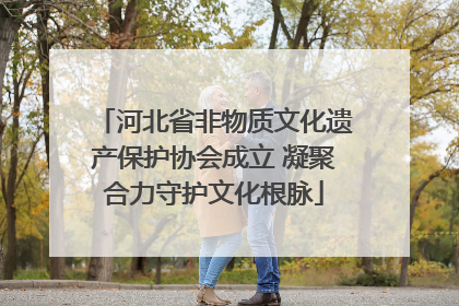 河北省非物质文化遗产保护协会成立 凝聚合力守护文化根脉