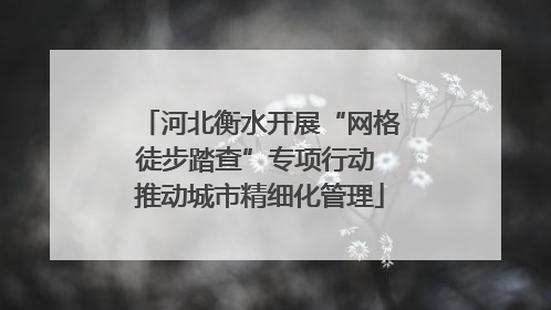 河北衡水开展“网格徒步踏查”专项行动 推动城市精细化管理