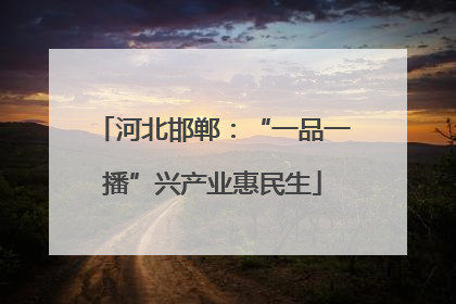 河北邯郸：“一品一播”兴产业惠民生