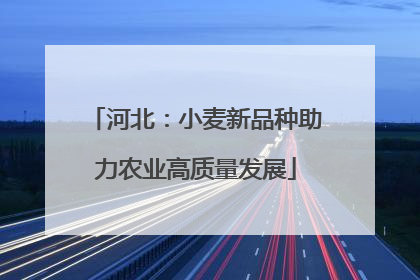 河北：小麦新品种助力农业高质量发展