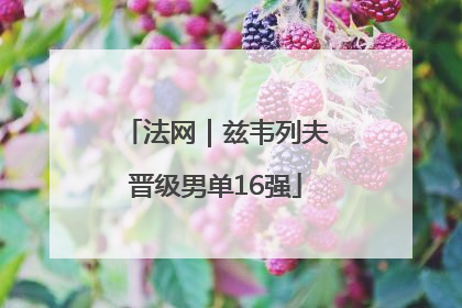 法网｜兹韦列夫晋级男单16强