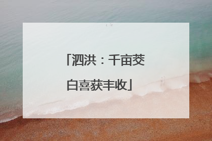 泗洪：千亩茭白喜获丰收