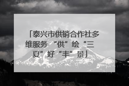 泰兴市供销合作社多维服务 “供”绘“三夏”好“丰”景