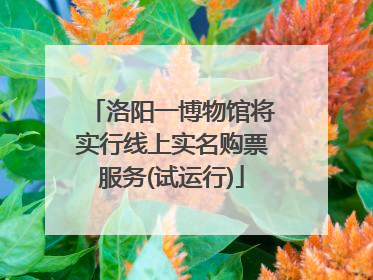 洛阳一博物馆将实行线上实名购票服务(试运行)