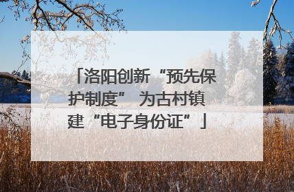 洛阳创新“预先保护制度” 为古村镇建“电子身份证”