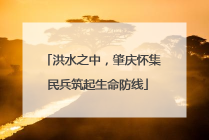 洪水之中，肇庆怀集民兵筑起生命防线