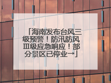 海南发布台风三级预警！防汛防风Ⅲ级应急响应！部分景区已停业→