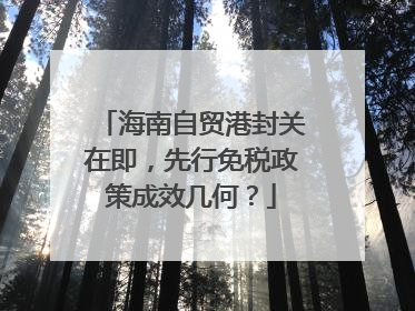 海南自贸港封关在即，先行免税政策成效几何？