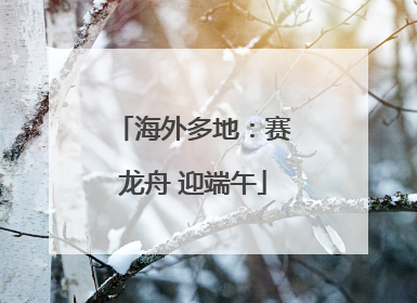 海外多地：赛龙舟 迎端午