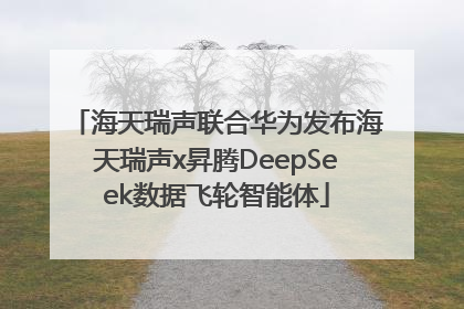 海天瑞声联合华为发布海天瑞声x昇腾DeepSeek数据飞轮智能体