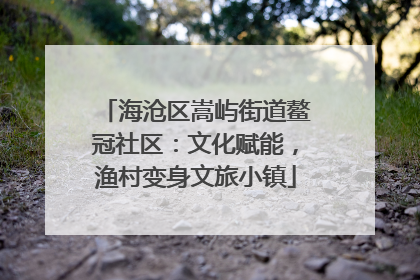 海沧区嵩屿街道鳌冠社区：文化赋能，渔村变身文旅小镇