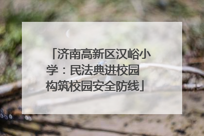 济南高新区汉峪小学：民法典进校园 构筑校园安全防线