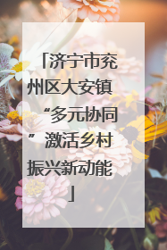 济宁市兖州区大安镇“多元协同”激活乡村振兴新动能