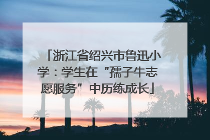 浙江省绍兴市鲁迅小学：学生在“孺子牛志愿服务”中历练成长