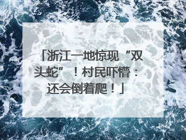 浙江一地惊现“双头蛇”！村民吓懵：还会倒着爬！