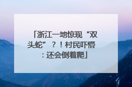 浙江一地惊现“双头蛇”？！村民吓懵：还会倒着爬