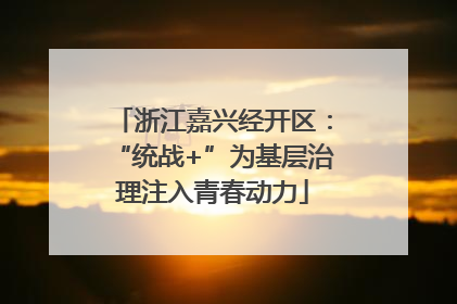浙江嘉兴经开区：“统战+”为基层治理注入青春动力