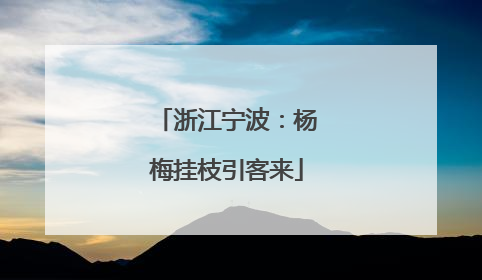 浙江宁波：杨梅挂枝引客来