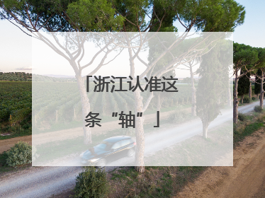 浙江认准这条“轴”
