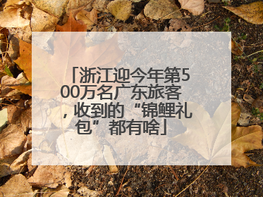 浙江迎今年第500万名广东旅客，收到的“锦鲤礼包”都有啥