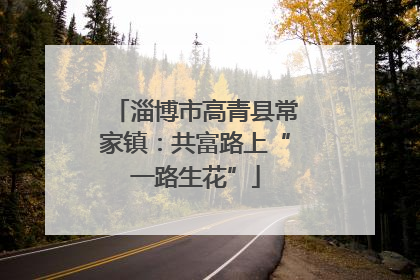 淄博市高青县常家镇：共富路上“一路生花”