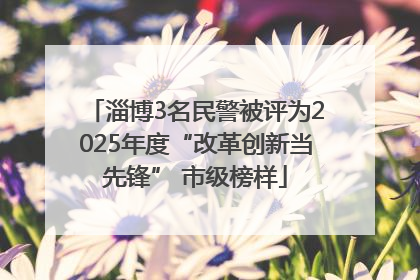 淄博3名民警被评为2025年度“改革创新当先锋” 市级榜样