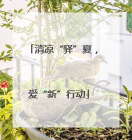 清凉“驿”夏，爱“新”行动