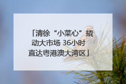 清徐“小菜心”撬动大市场 36小时直达粤港澳大湾区