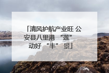 清风护航产业旺 公安县八里港 “莲” 动好 “丰” 景