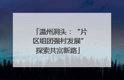 温州洞头：“片区组团强村发展”探索共富新路