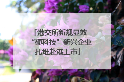 港交所新规显效 “硬科技”新兴企业扎堆赴港上市