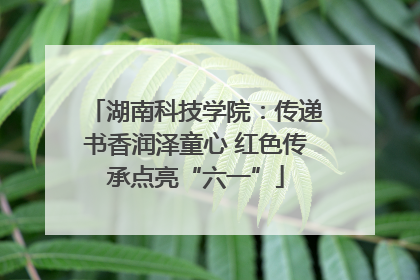 湖南科技学院：传递书香润泽童心 红色传承点亮“六一”